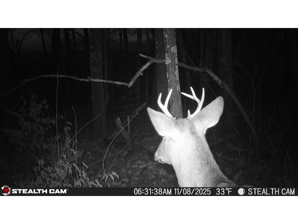 4926 Iroquois Loop Meadowbrook Twp MN 56466 6819993 image32