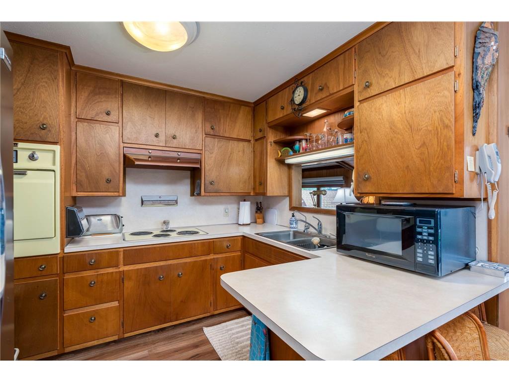 49295 Sportsmans Lane Elysian Twp MN 56096 - Tetonka 7090398 image17
