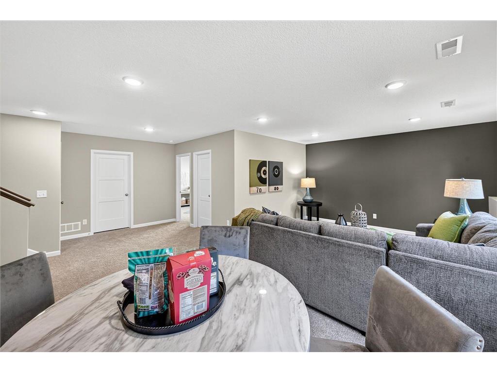 493 Mallard Street NE Hanover MN 55341 6822664 image27