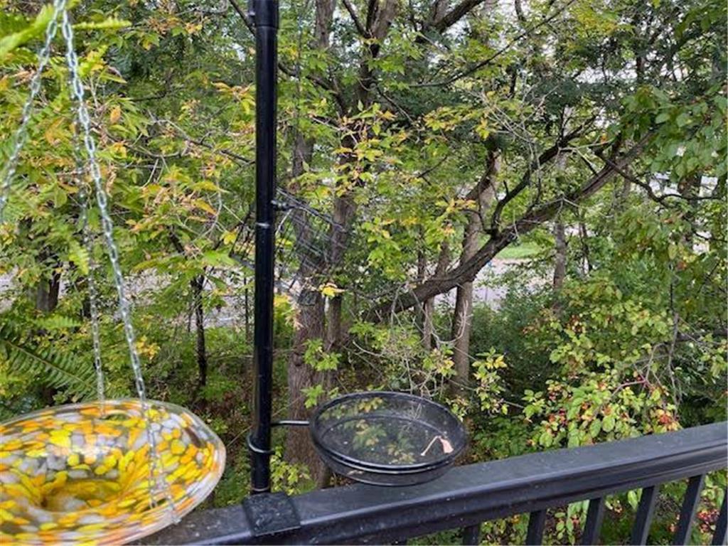 493 Sterling Street S Maplewood MN 55119 7043065 image29