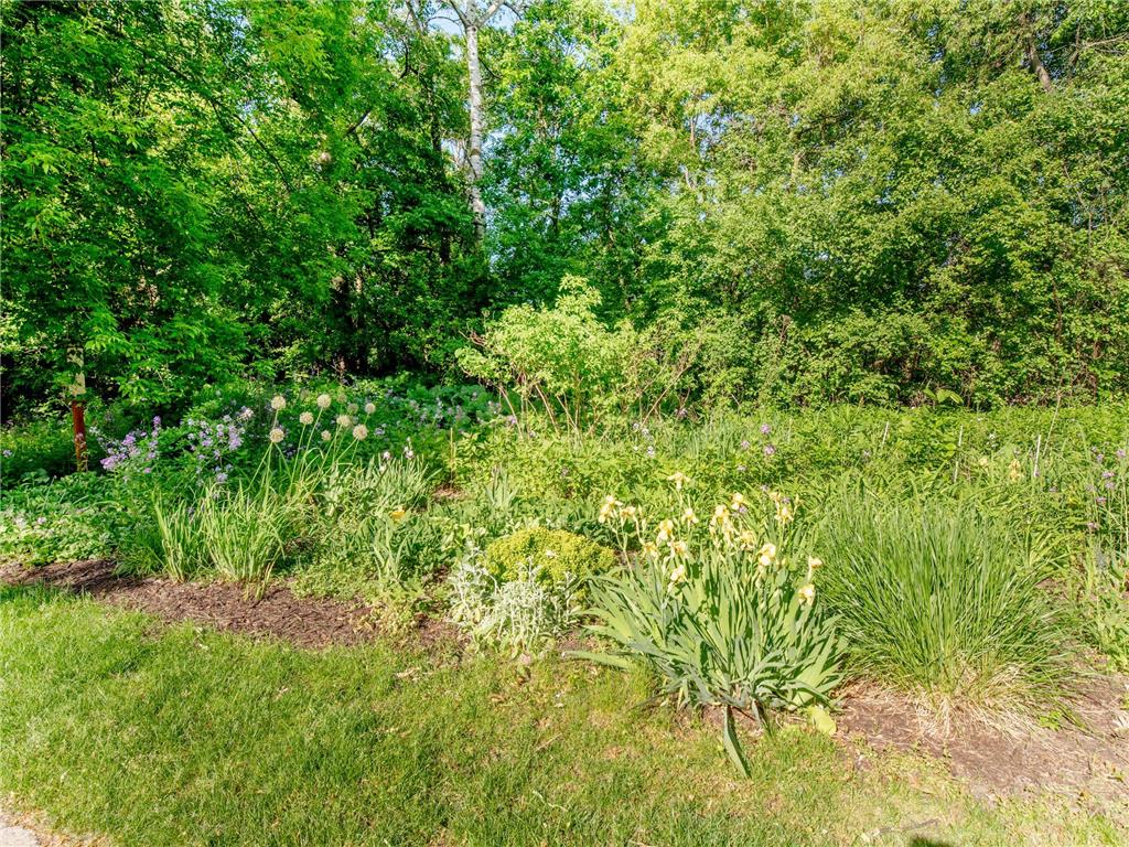 493 Sterling Street S Maplewood MN 55119 7099886 image47