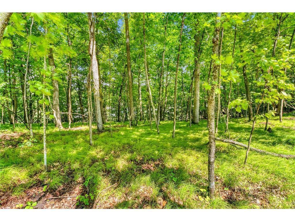 49330 Fish Lake Road Pelican Rapids MN 56572 7039851 image13