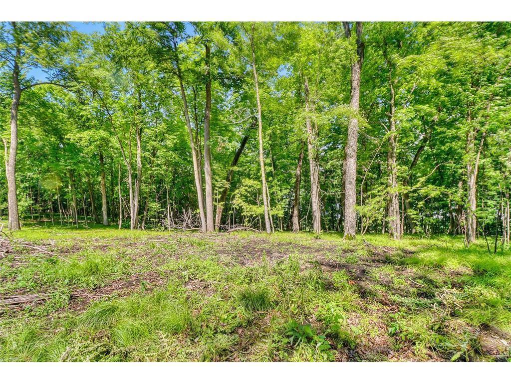 49330 Fish Lake Road Pelican Rapids MN 56572 7039851 image15