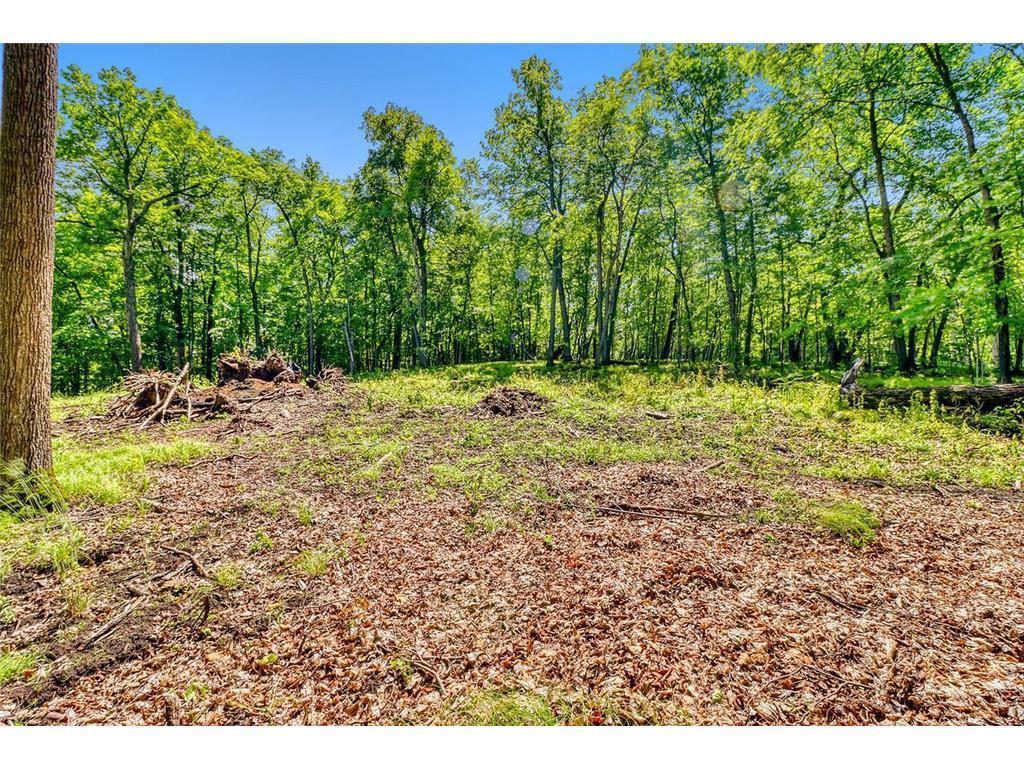 49330 Fish Lake Road Pelican Rapids MN 56572 7039851 image9
