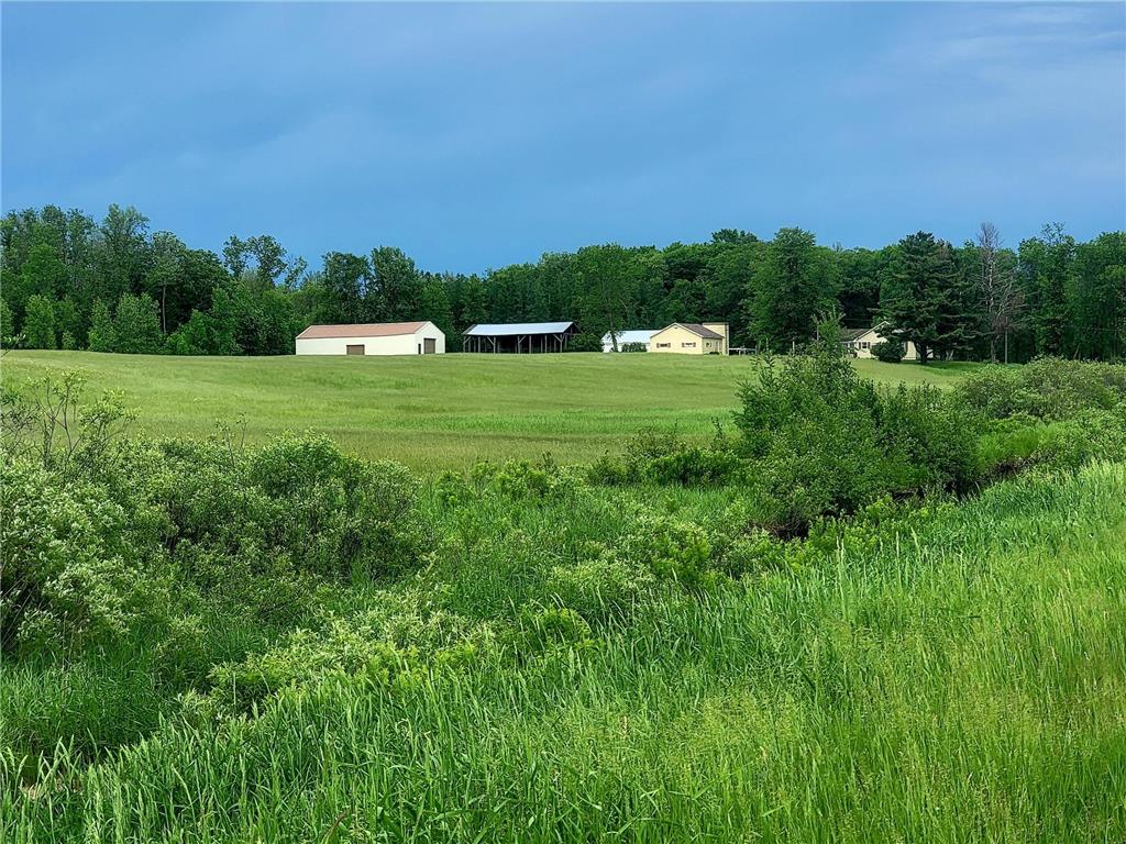 49349 Osprey Avenue, Palisade, MN, 56469 MLS 6224002 Edina Realty