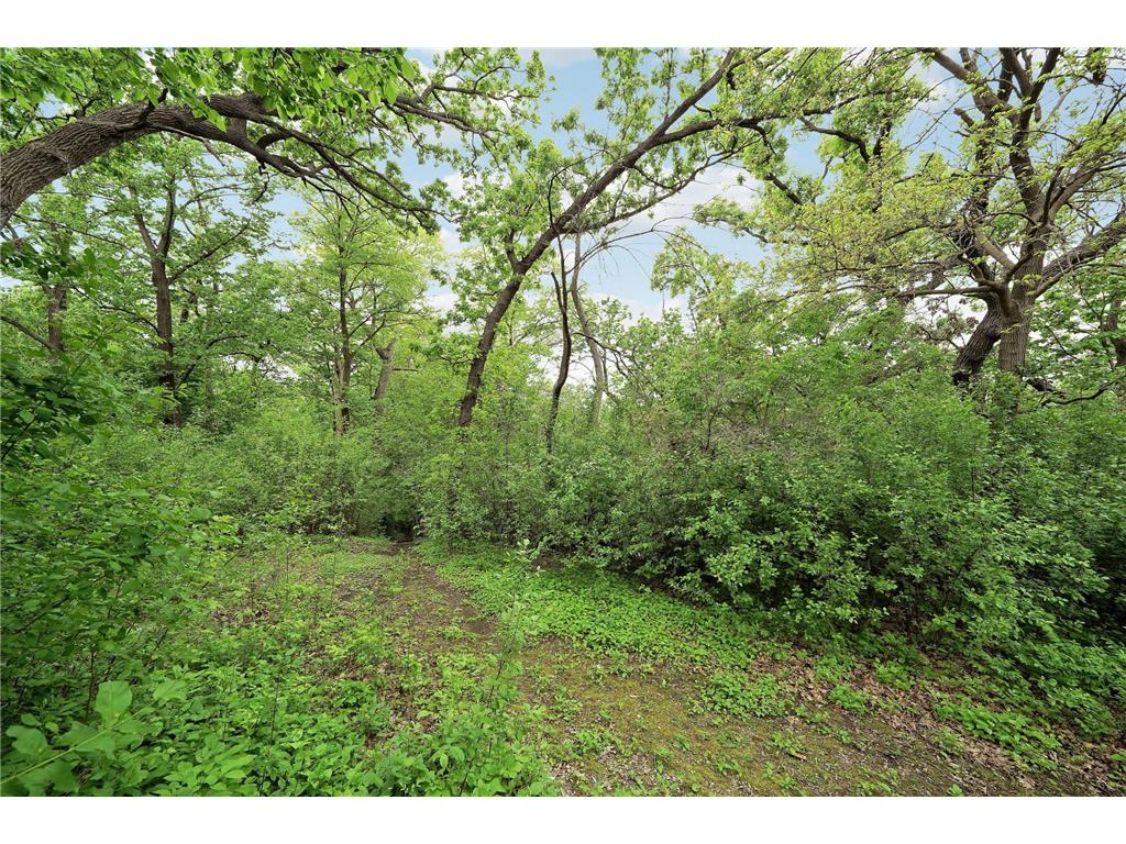 4936 Shady Oak Road S Minnetonka MN 55343 - Shady Oak 7051670 image14