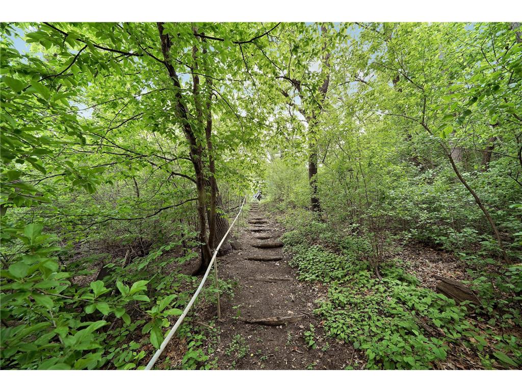 4936 Shady Oak Road S Minnetonka MN 55343 - Shady Oak 7051670 image15