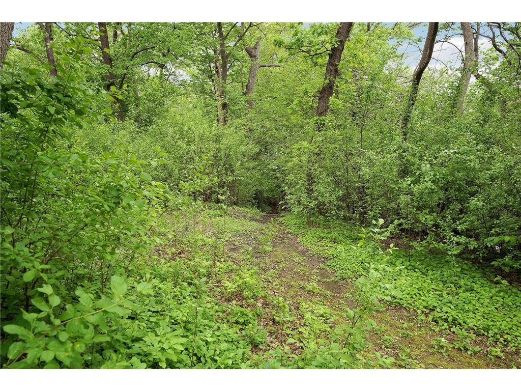 4936 Shady Oak Road S Minnetonka MN 55343 - Shady Oak 7060212 image11
