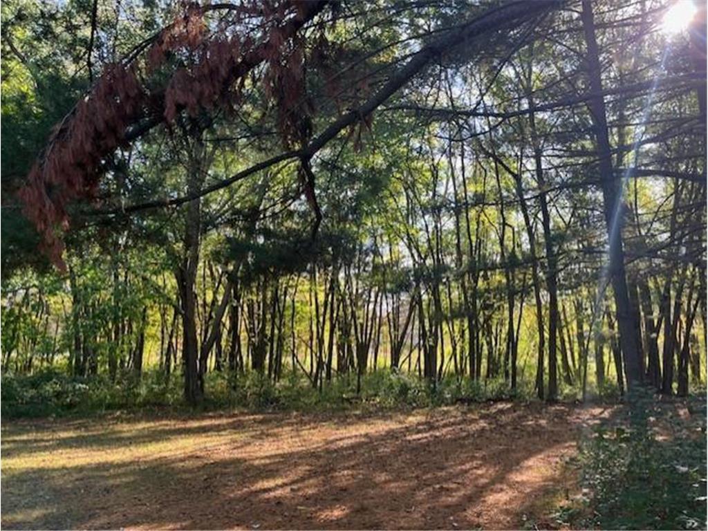 4938 121st Street N Hugo MN 55110 6648664 image1