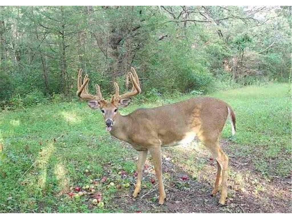 4940 County Road 85 Becker MN 55308 6602025 image1