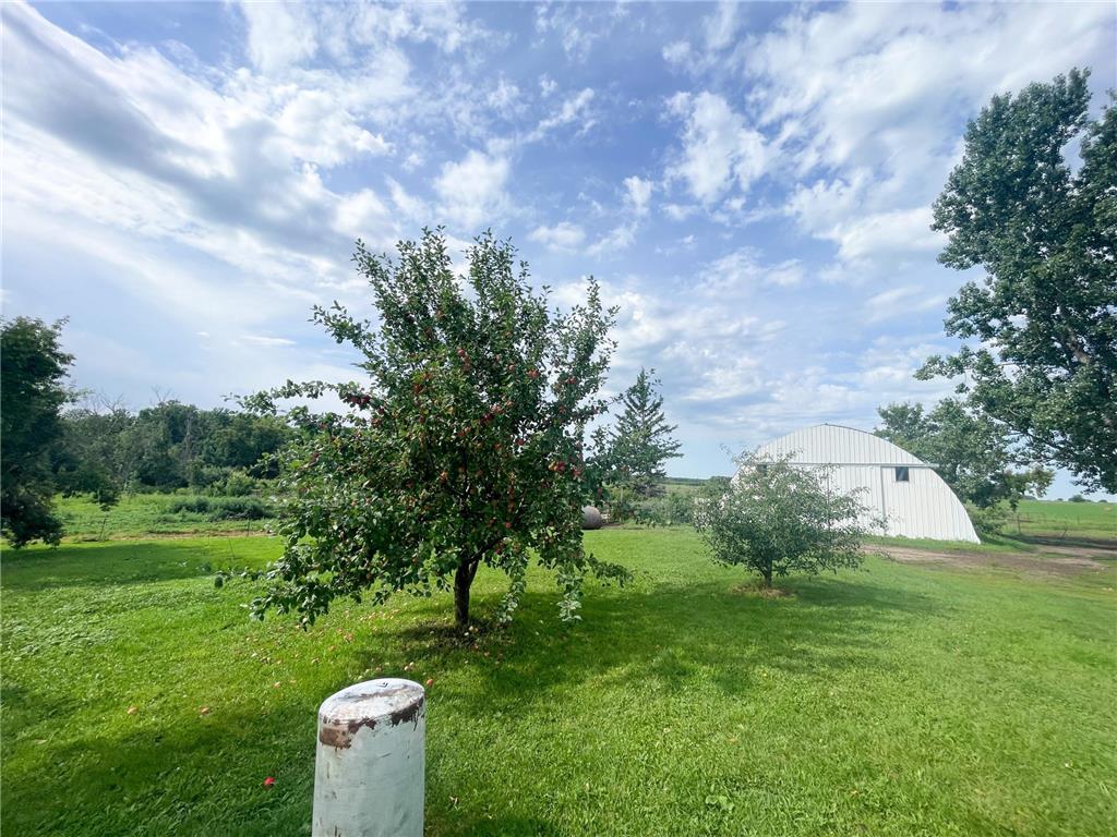 49404 109th Avenue Pine Lake Twp MN 56644 6775466 image65