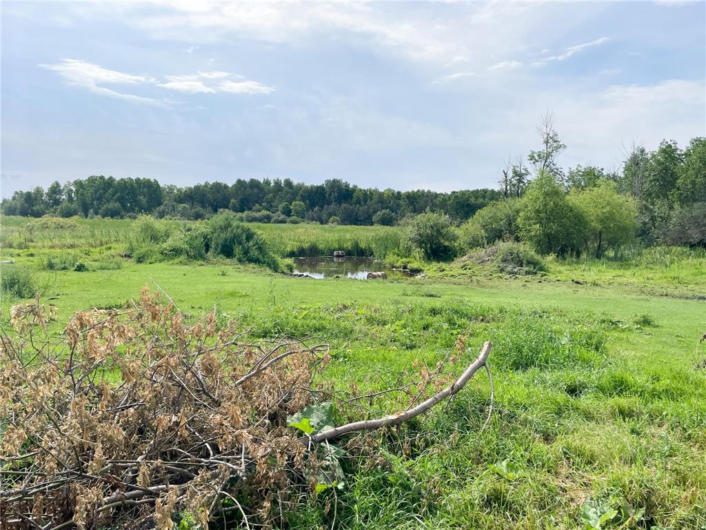 49404 109th Avenue Pine Lake Twp MN 56644 6775466 image68