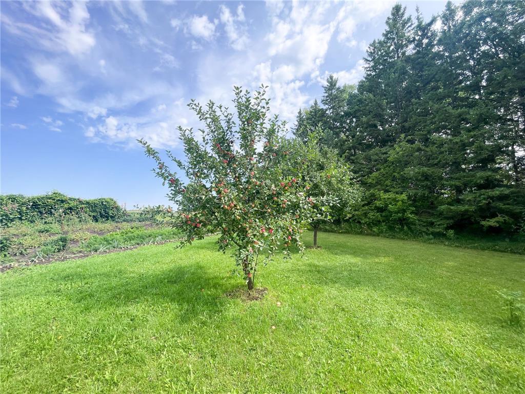 49404 109th Avenue Pine Lake Twp MN 56644 6775466 image69