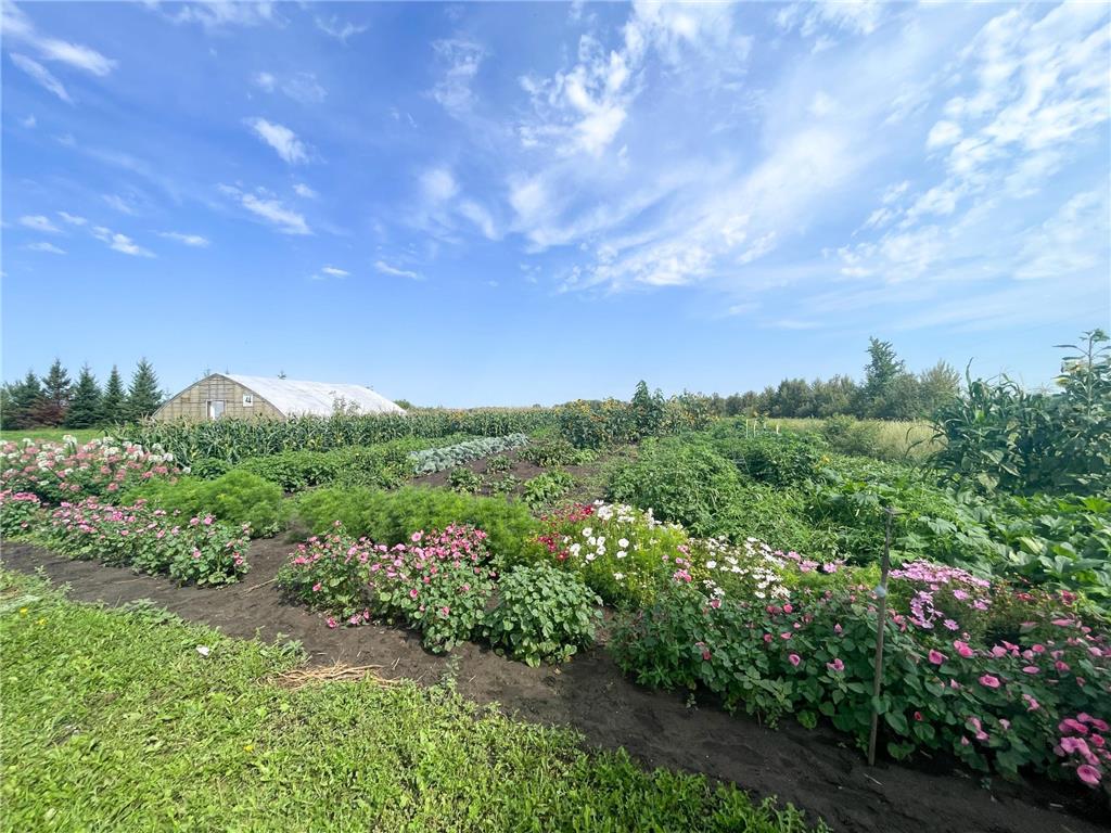 49404 109th Avenue Pine Lake Twp MN 56644 6775466 image72