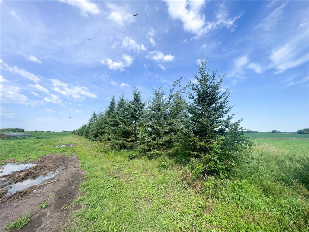 49404 109th Avenue Pine Lake Twp MN 56644 6775466 image74