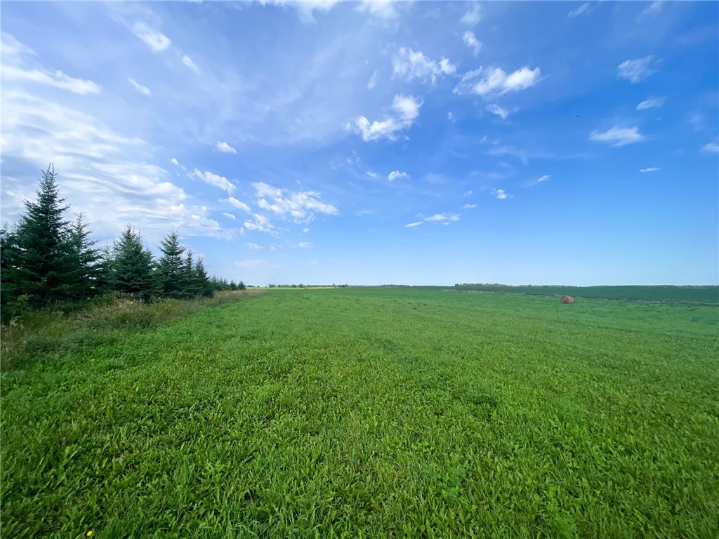 49404 109th Avenue Pine Lake Twp MN 56644 6775466 image75