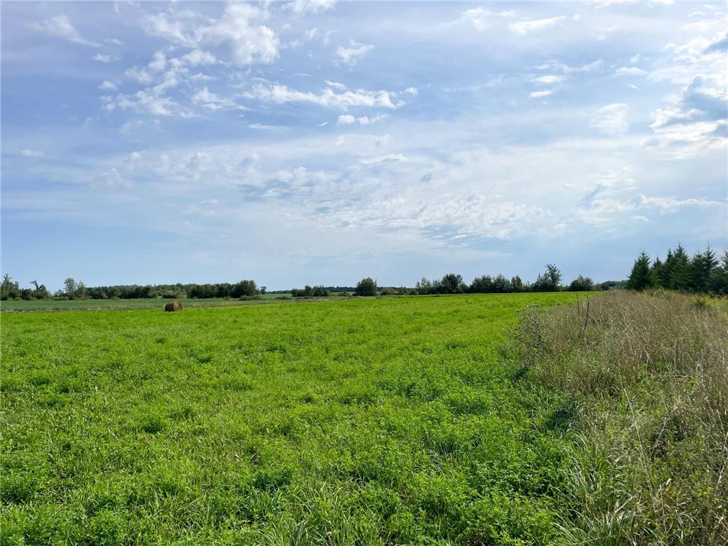 49404 109th Avenue Pine Lake Twp MN 56644 6775466 image76