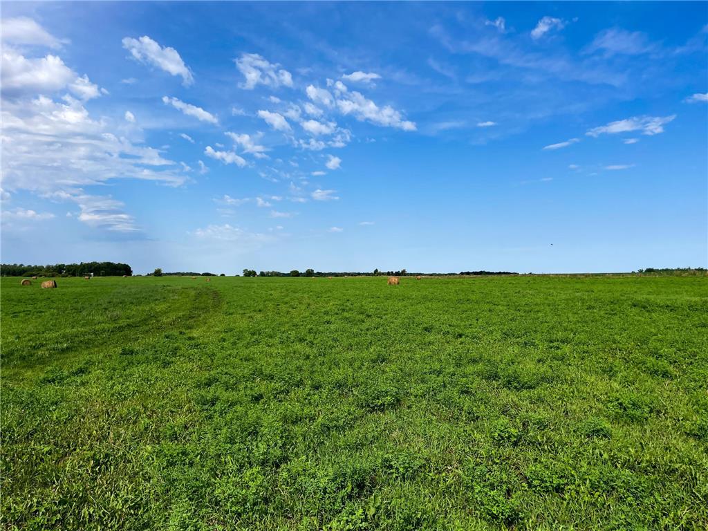 49404 109th Avenue Pine Lake Twp MN 56644 6775466 image77