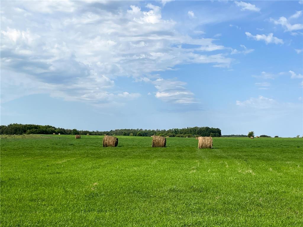 49404 109th Avenue Pine Lake Twp MN 56644 6775466 image78