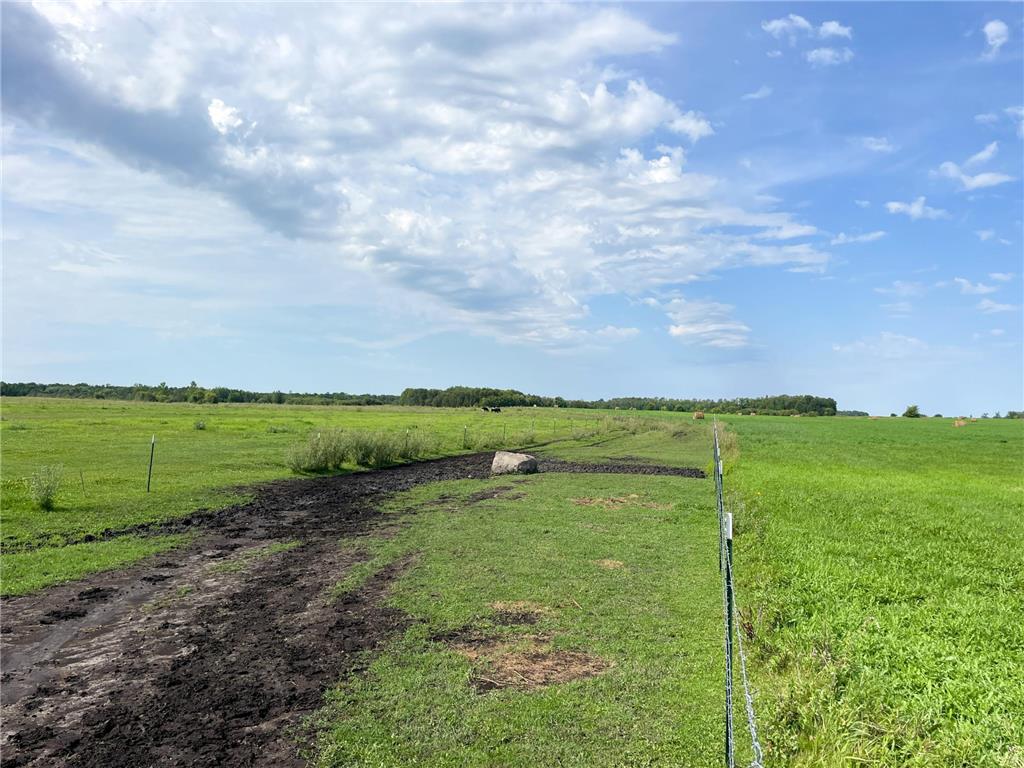 49404 109th Avenue Pine Lake Twp MN 56644 6775466 image81