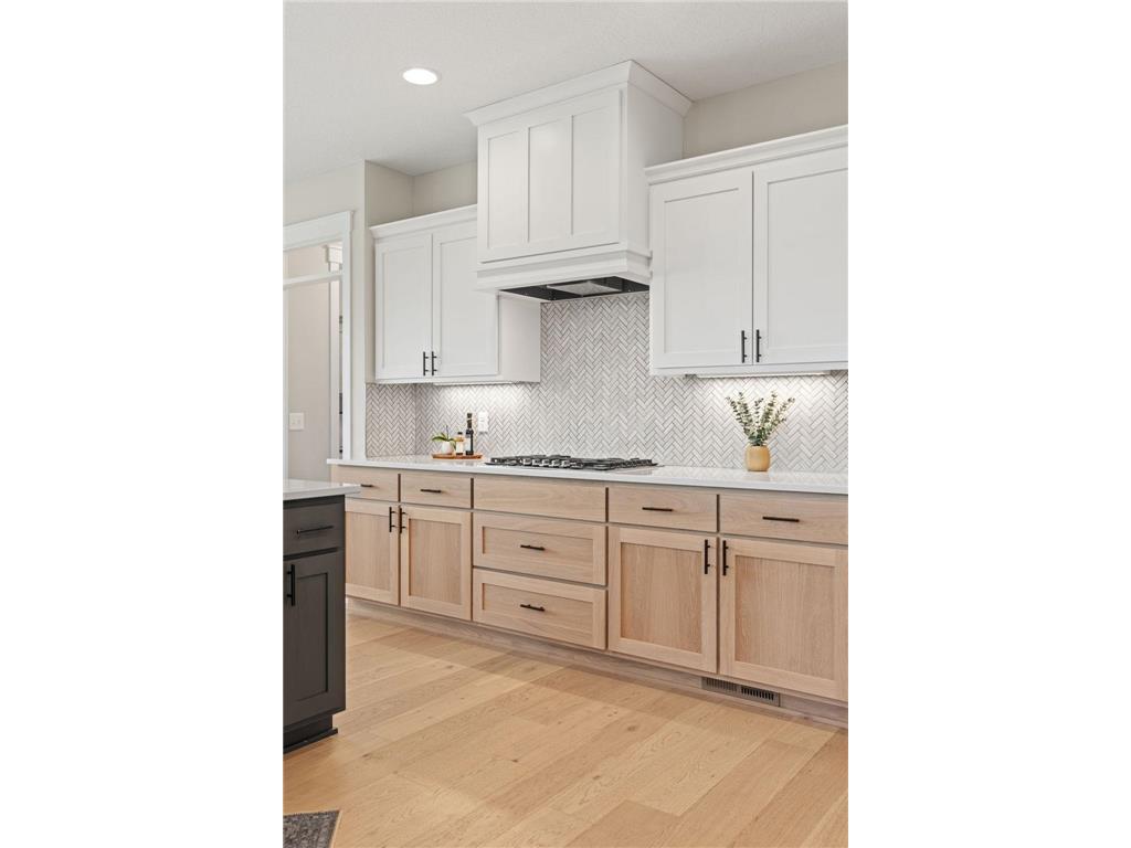4942 130th Court NE Blaine MN 55449 7088918 image6