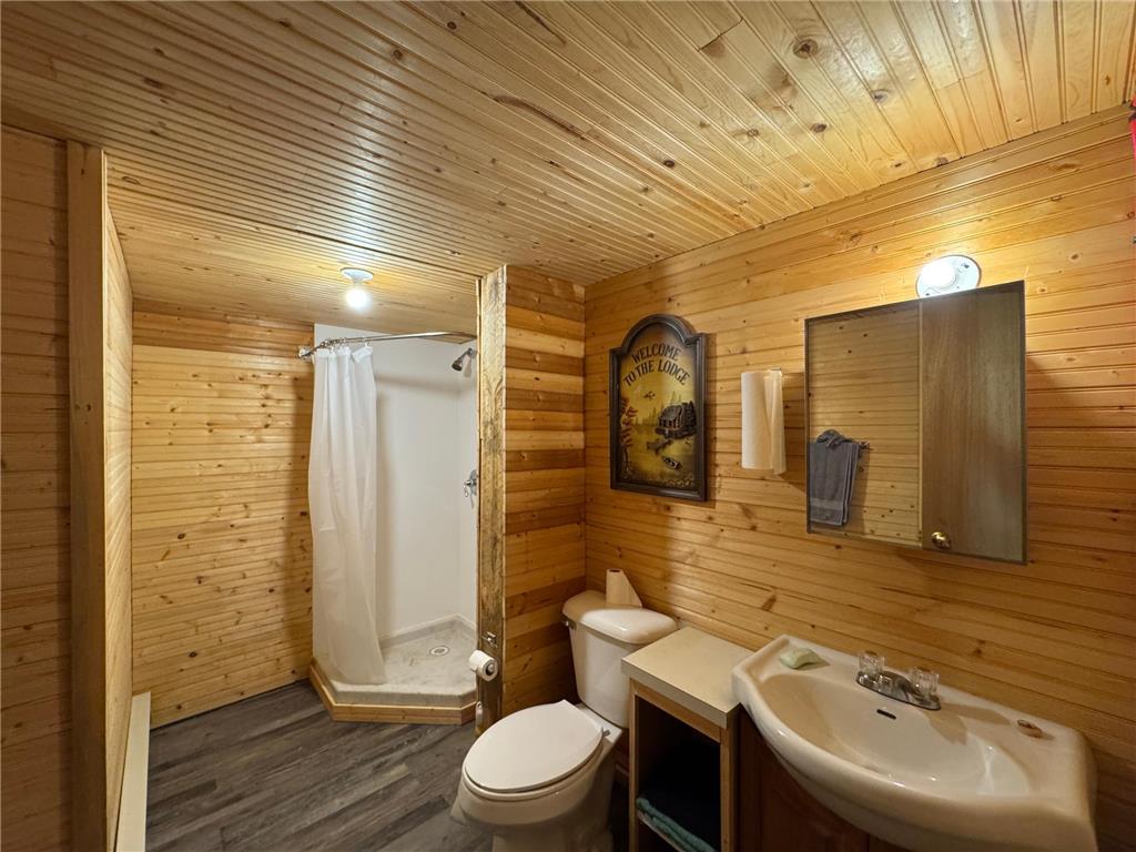49438 Wild Haven Road Bruno MN 55712 7081435 image8