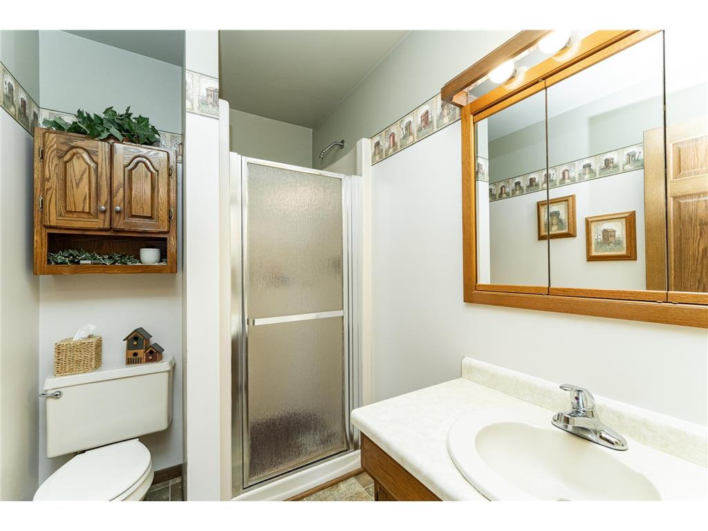 495 Oakview Drive Claremont MN 55924 6800366 image22