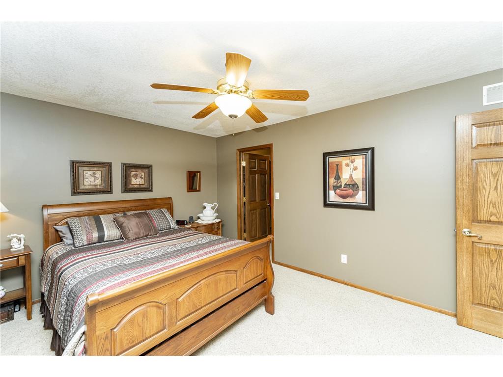 495 Oakview Drive Claremont MN 55924 6800366 image26