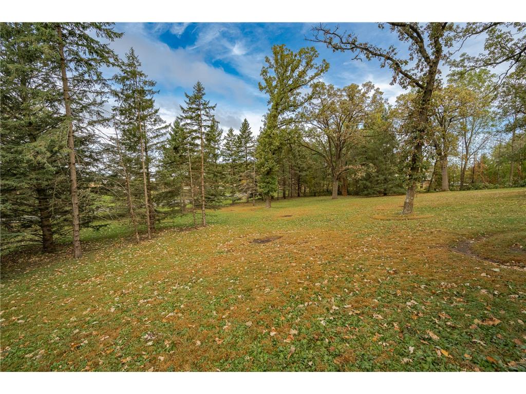 495 Oakview Drive Claremont MN 55924 6800366 image52