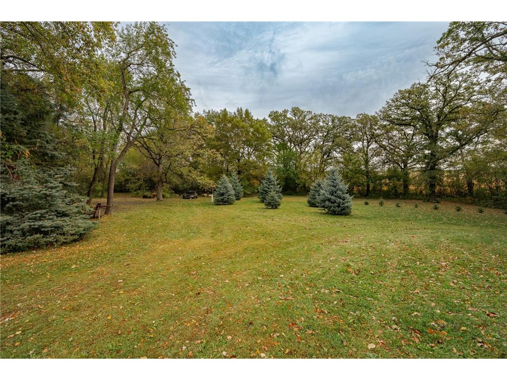 495 Oakview Drive Claremont MN 55924 6800366 image56