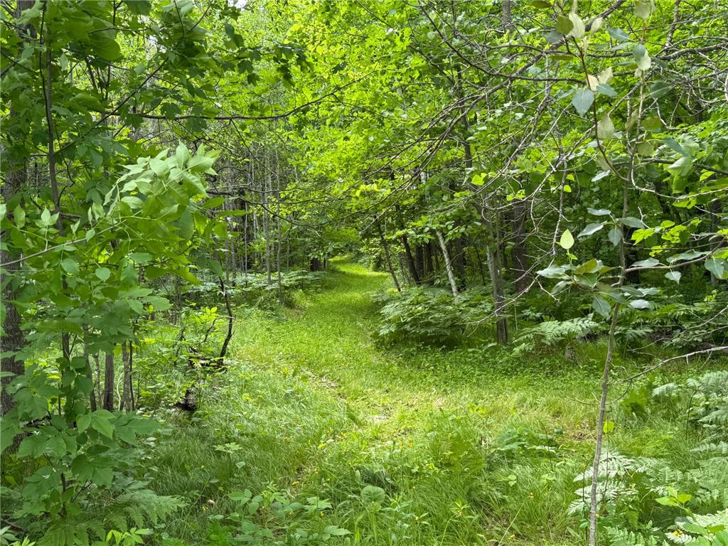 49505 229th Avenue Helga Twp MN 56601 7098267 image42