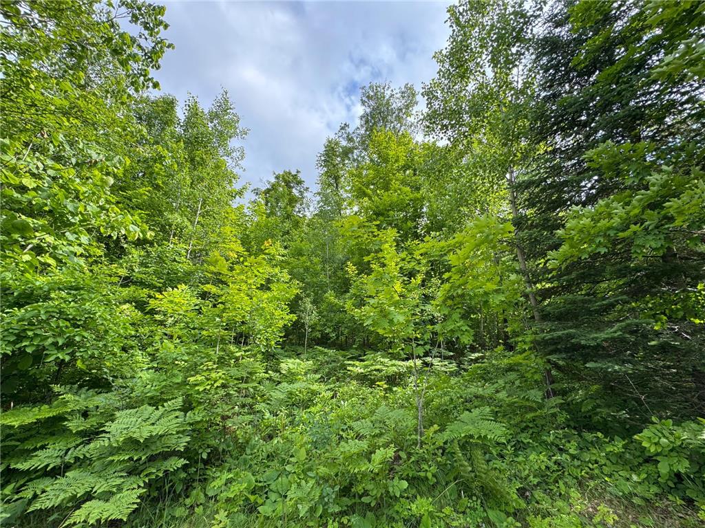 49505 229th Avenue Helga Twp MN 56601 7098267 image44