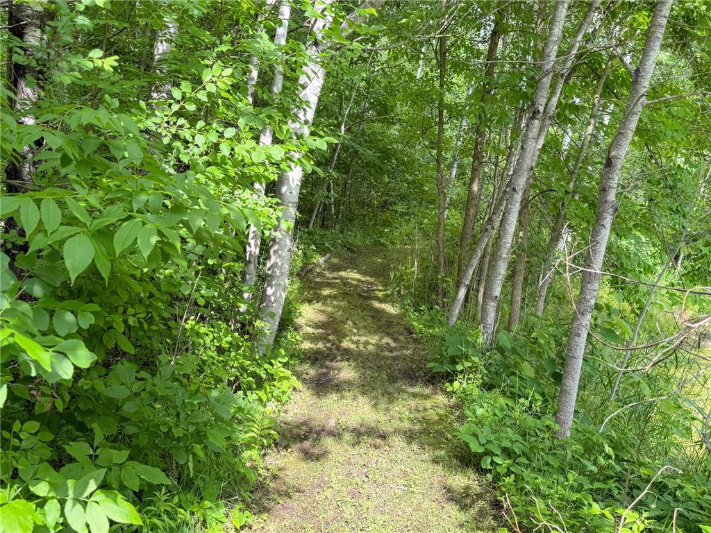 49505 229th Avenue Helga Twp MN 56601 7098267 image48