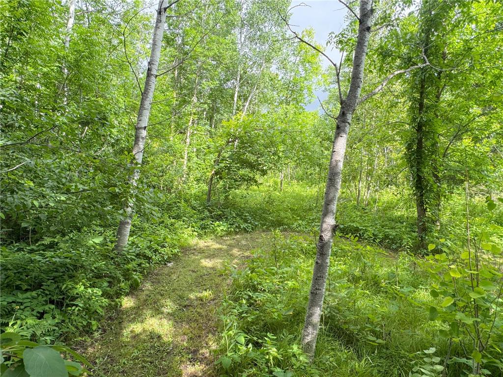 49505 229th Avenue Helga Twp MN 56601 7098267 image49