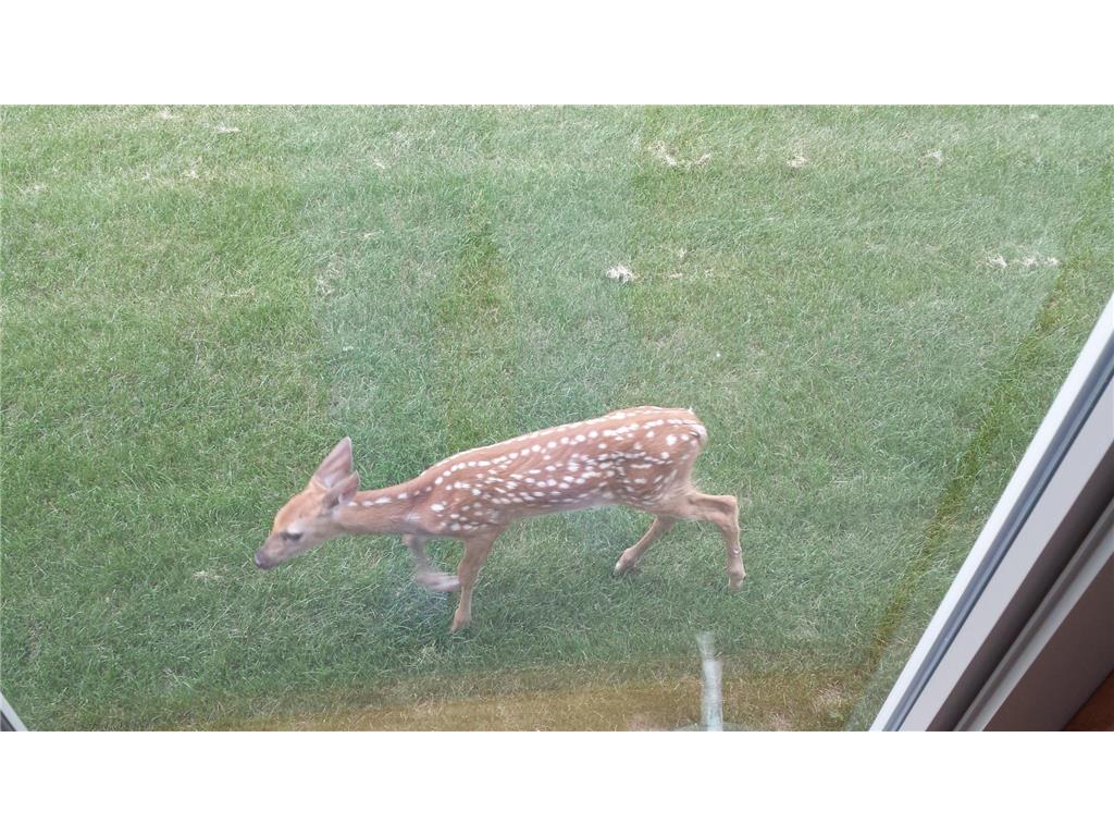 49521 300th Street, Leaf Lake Twp, MN, 56551 MLS 6491036 Edina Realty