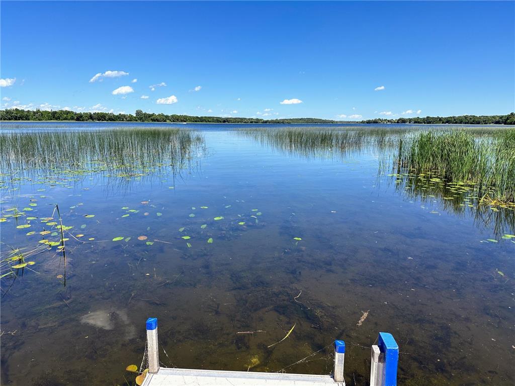 49521 300th Street, Leaf Lake Twp, MN, 56551 MLS 6491036 Edina Realty