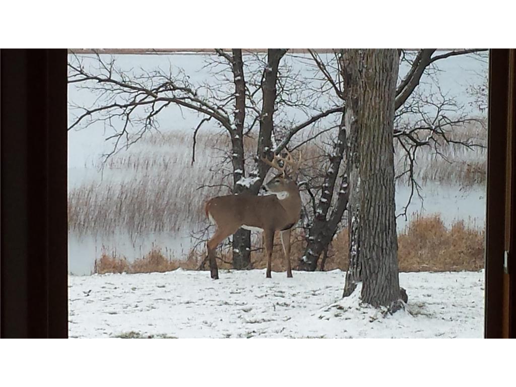 49521 300th Street, Leaf Lake Twp, MN, 56551 MLS 6491036 Edina Realty