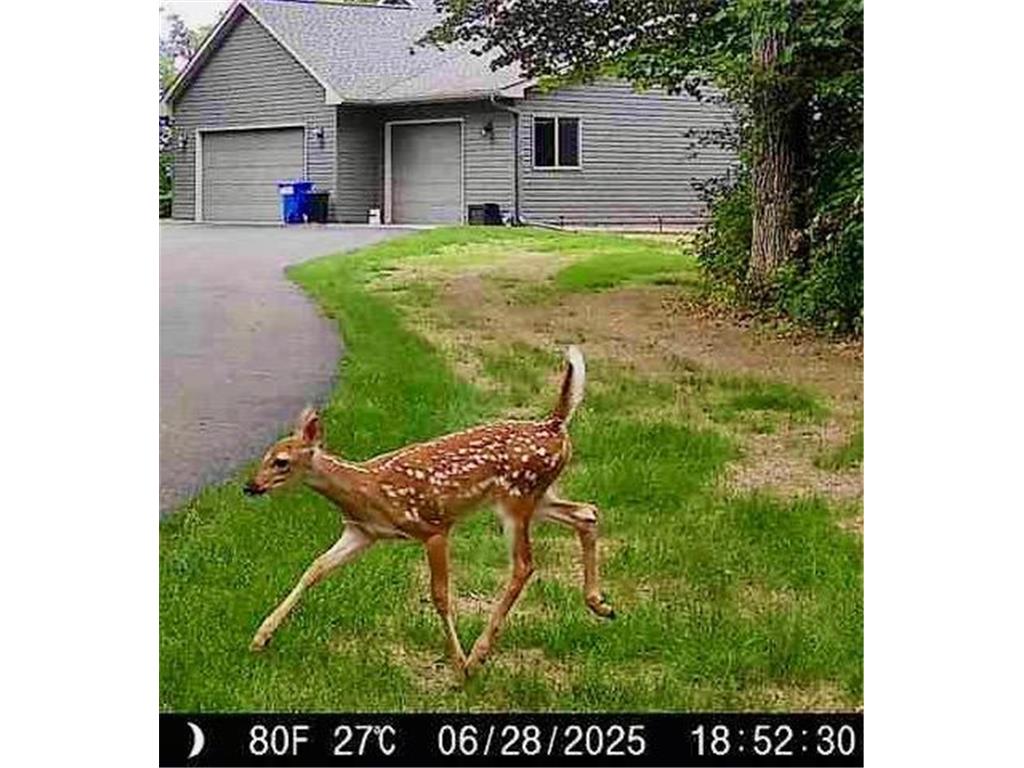49521 300th Street Leaf Lake Twp MN 56551 - Middle Leaf 7096226 image43