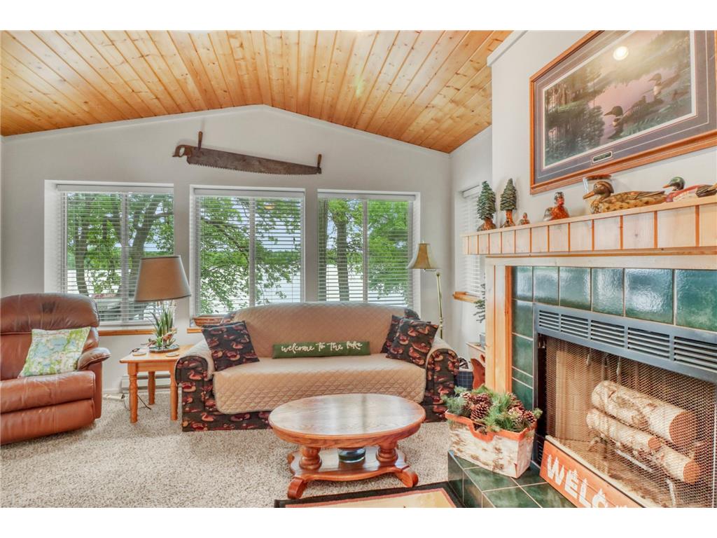 49567 Trowbridge Circle Candor Twp MN 56587 - Trowbridge Lake 7085887 image9