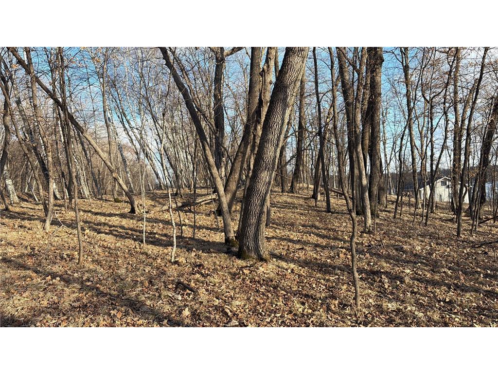 495XX Fish Lake Rd Pelican Rapids MN 56572 - Pelican 7048899 image1