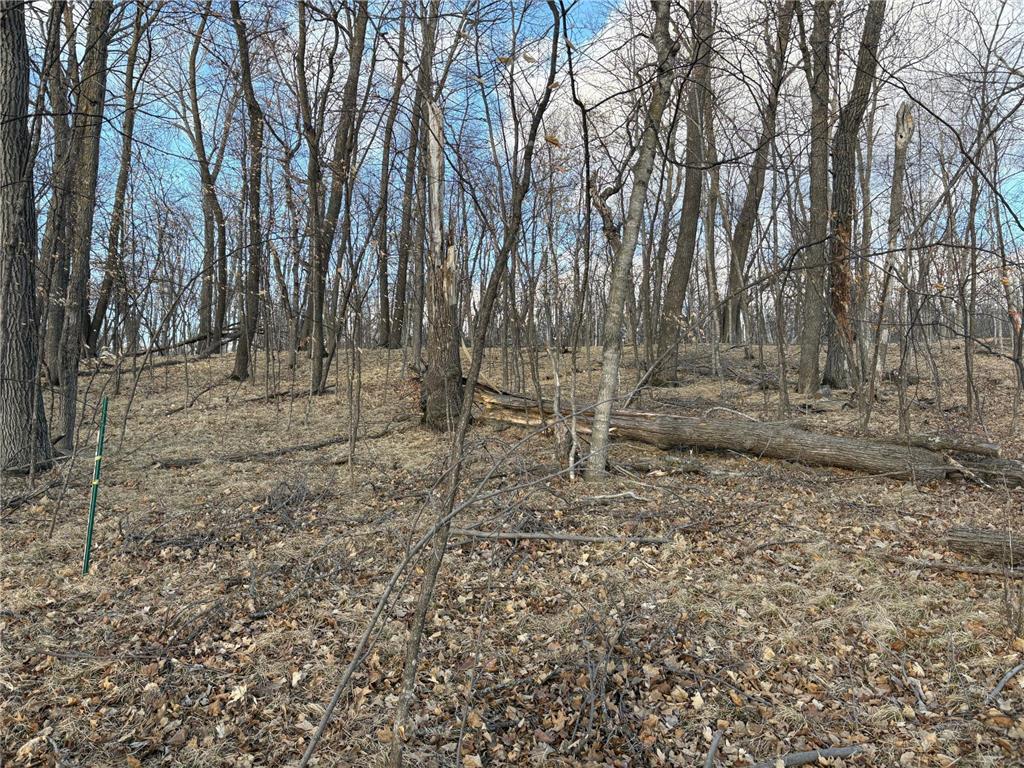 495XX Fish Lake Rd Pelican Rapids MN 56572 - Pelican 7048899 image10