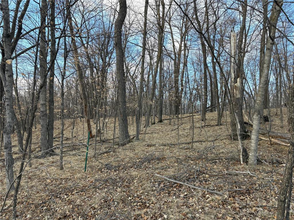 495XX Fish Lake Rd Pelican Rapids MN 56572 - Pelican 7048899 image11