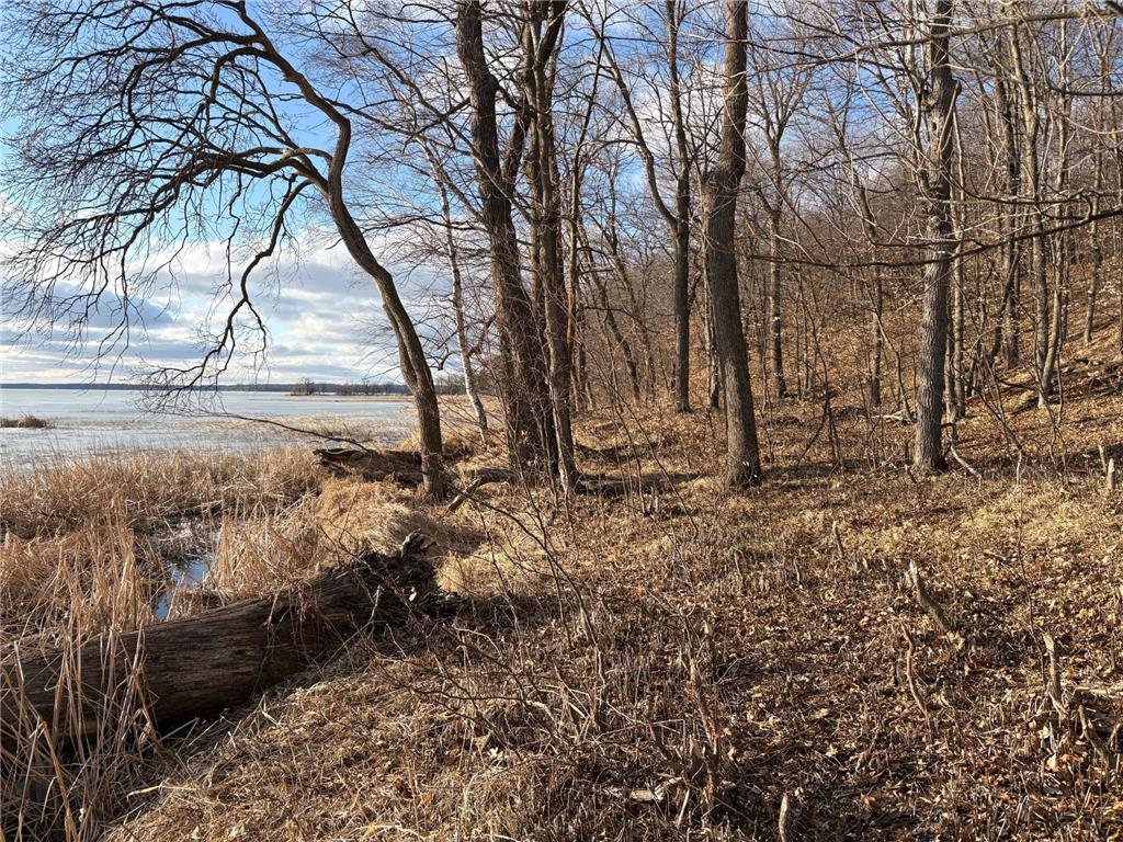 495XX Fish Lake Rd Pelican Rapids MN 56572 - Pelican 7048899 image16