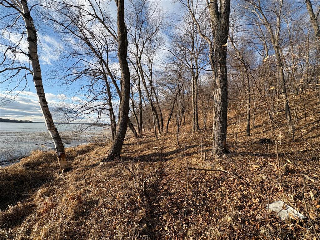 495XX Fish Lake Rd Pelican Rapids MN 56572 - Pelican 7048899 image17