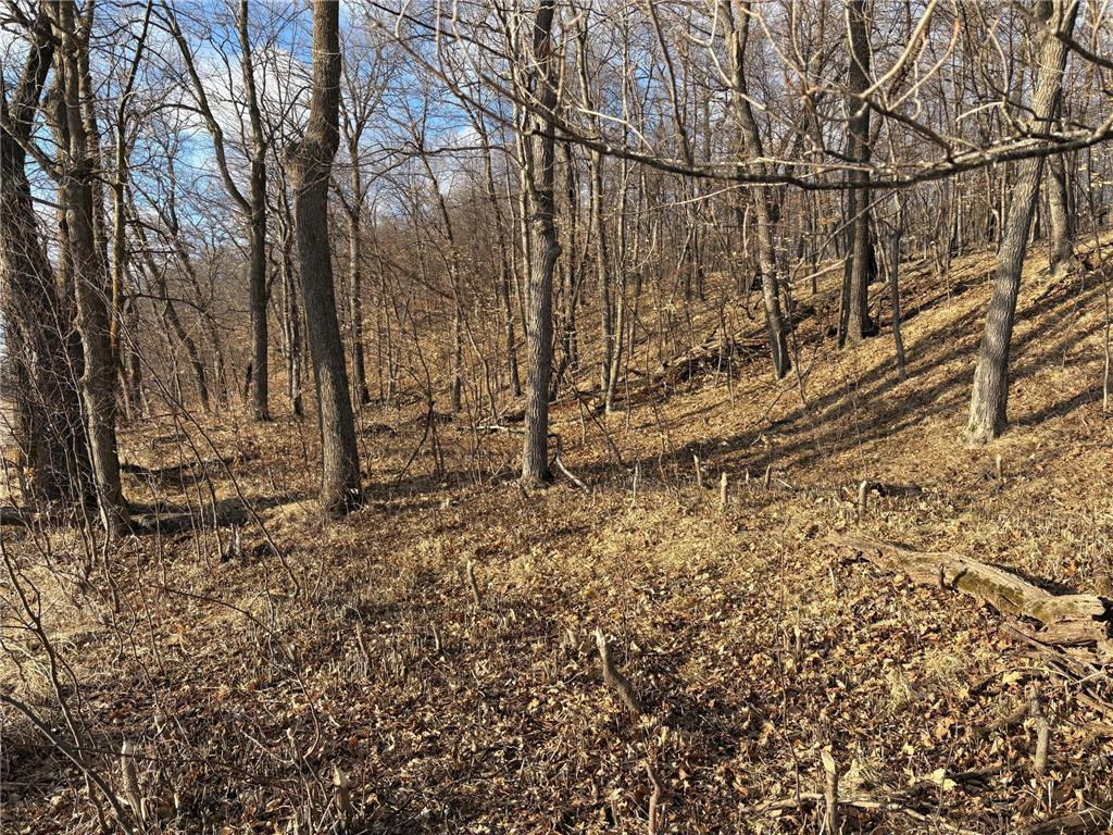 495XX Fish Lake Rd Pelican Rapids MN 56572 - Pelican 7048899 image18