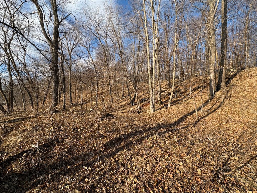 495XX Fish Lake Rd Pelican Rapids MN 56572 - Pelican 7048899 image19