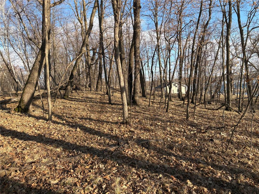 495XX Fish Lake Rd Pelican Rapids MN 56572 - Pelican 7048899 image4