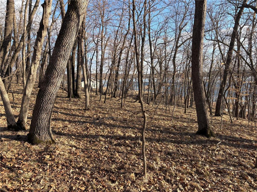 495XX Fish Lake Rd Pelican Rapids MN 56572 - Pelican 7048899 image5