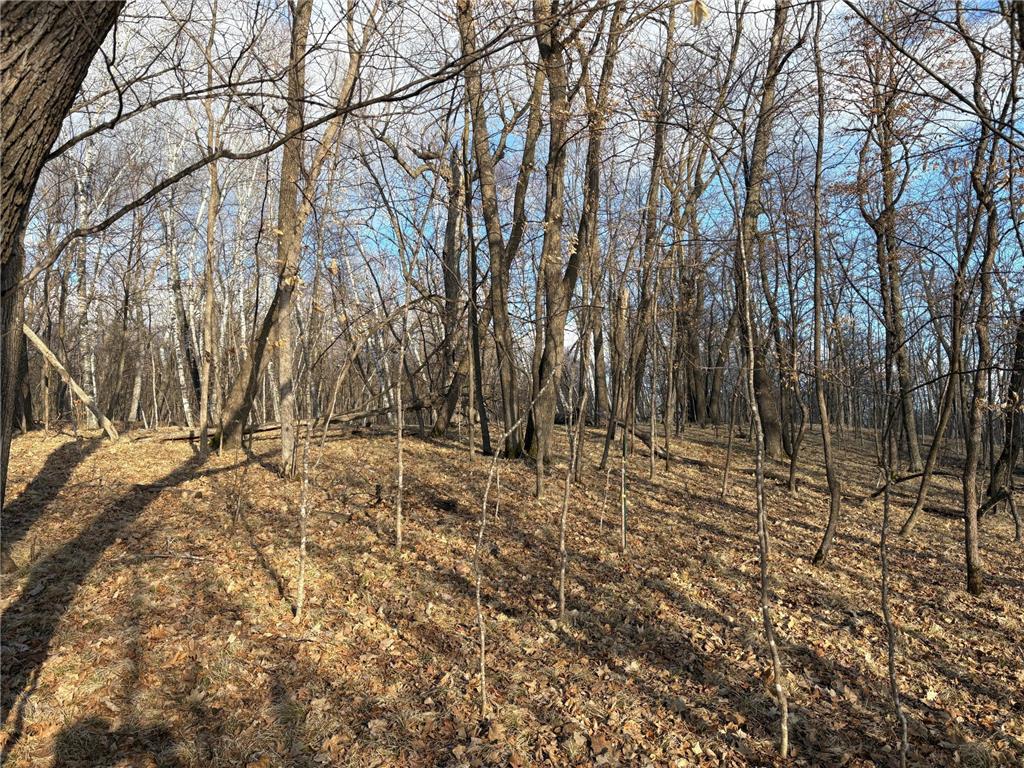 495XX Fish Lake Rd Pelican Rapids MN 56572 - Pelican 7048899 image6