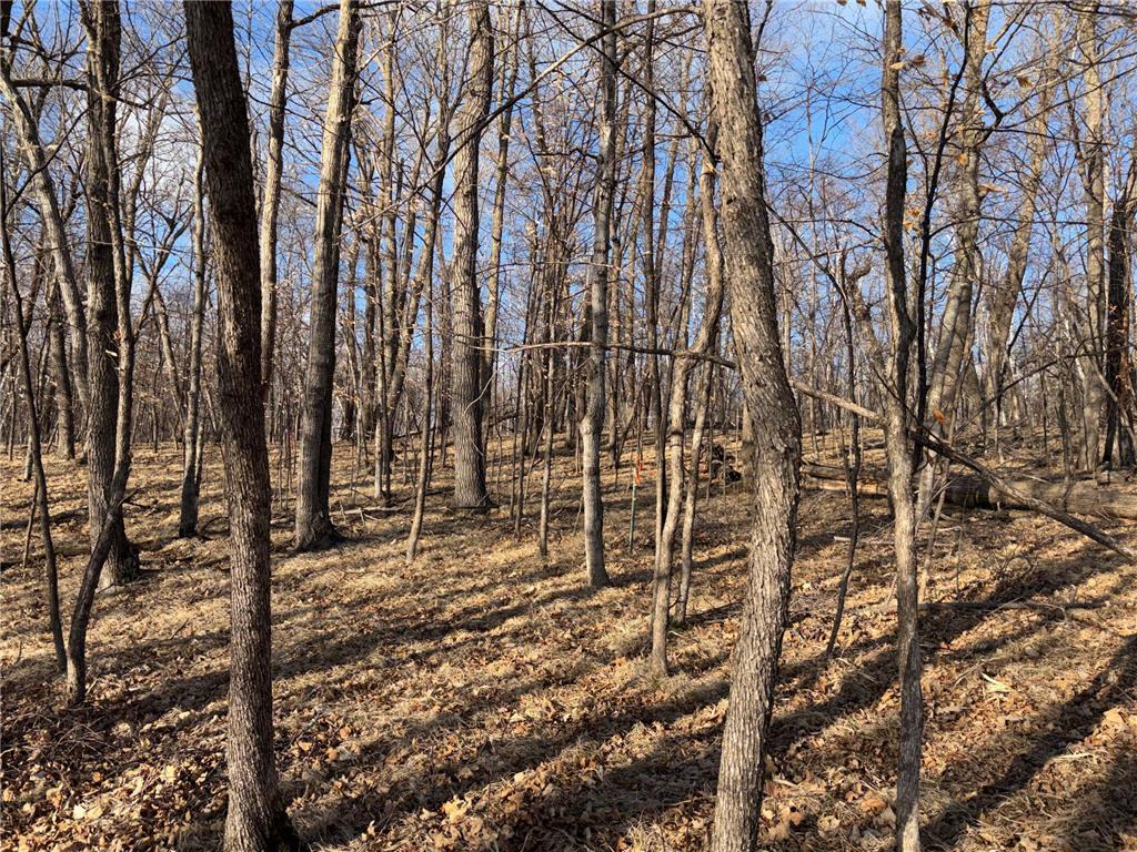 495XX Fish Lake Rd Pelican Rapids MN 56572 - Pelican 7048899 image7